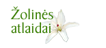 Žolinės atlaidų 2025 m. programa